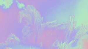 Cinematic Instinct — Psychedelic Short Film