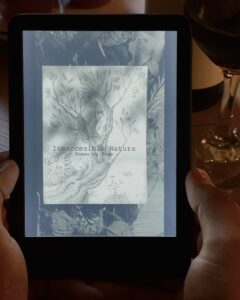 Kindle Version